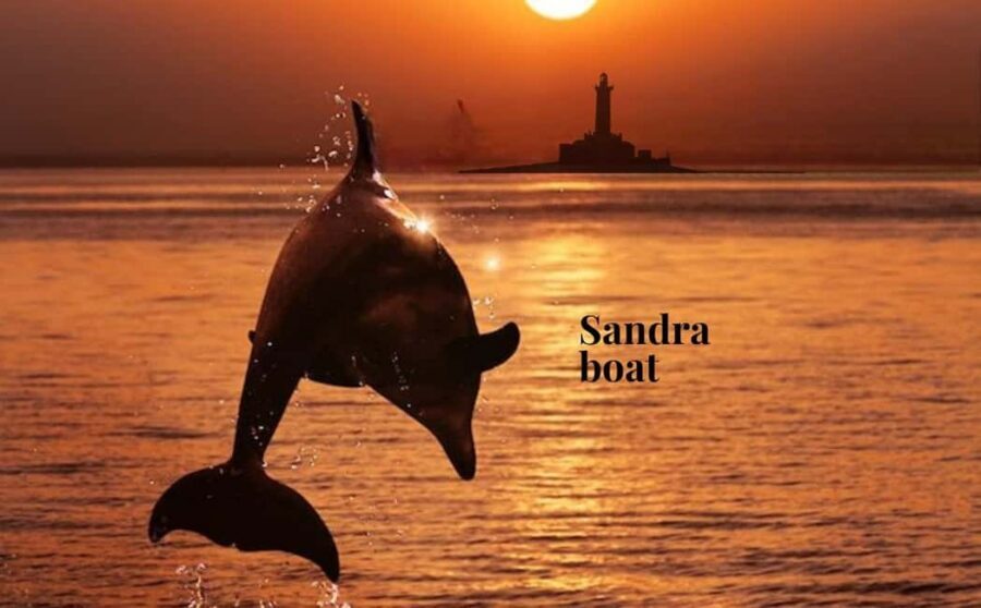 3hours Dolphin Sunset watching with unlimited drinks +dinner - Medulin Harbor start: finding the Sandra boat and settling in fast