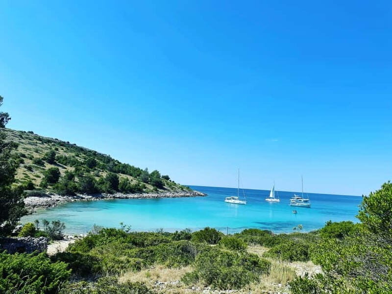 4 Jewels of Zadar, Dugi otok, sunken ship, tunnel - Half day - Ugljan’s Muline and Južna luka: pine shade, clear water, and a choice of pace