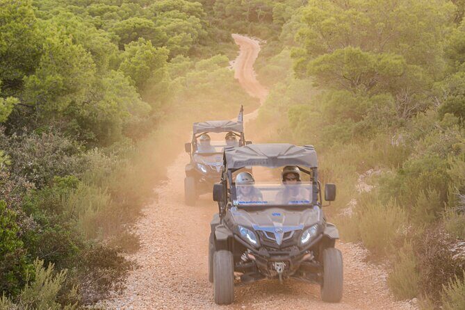 Adrenaline Quad Safari Tour - A quad tour on Vis: why this format works