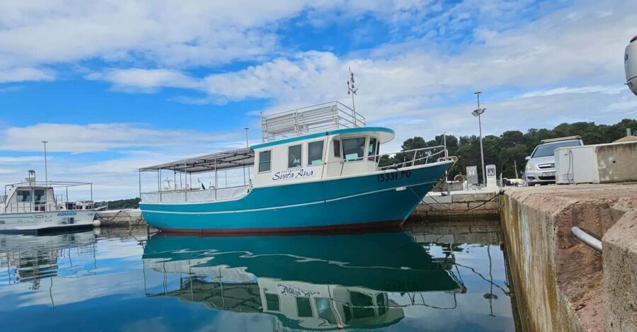 Dolphin Safari Boat Trip from Marina Funtana - Value check: is $35 for 150 minutes a good deal?