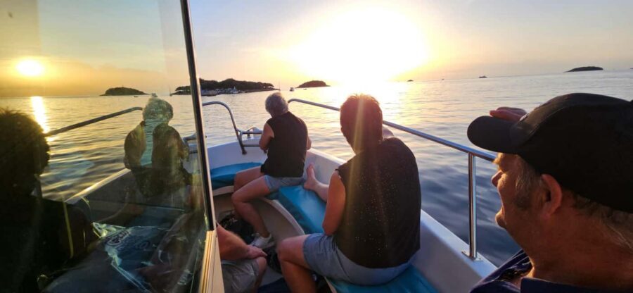 Dolphin Safari Boat Trip from Marina Funtana - Should you book the Dolphin Safari from Marina Funtana?
