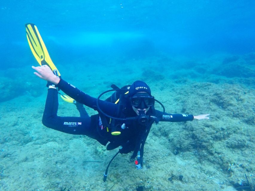 Dubrovnik 2-Hour Uncertified Divers Introductory Dive - Your underwater time: reef life at a beginner-friendly depth