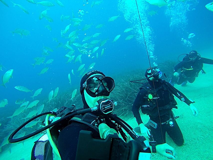 Dubrovnik 2-Hour Uncertified Divers Introductory Dive - Equipment, comfort, and the small details that matter