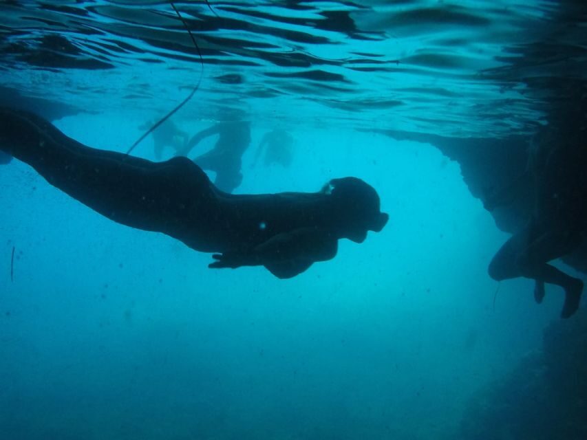 Dubrovnik: Blue Cave & Sunj Beach Boat Tour with Drinks - Speedboat Start: The Elaphiti Islands in One Breathless Stretch