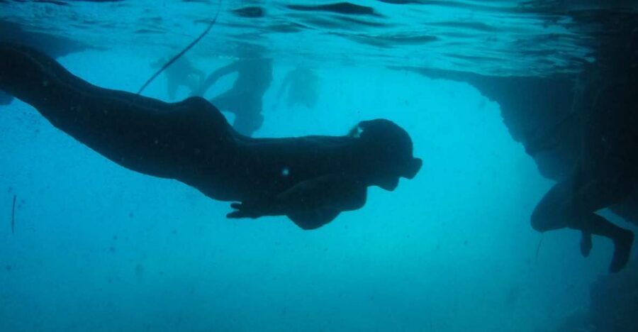 Dubrovnik: Blue Cave & Sunj Beach Boat Tour with Drinks - Three Green Caves on Koločep: Swimming Through Color