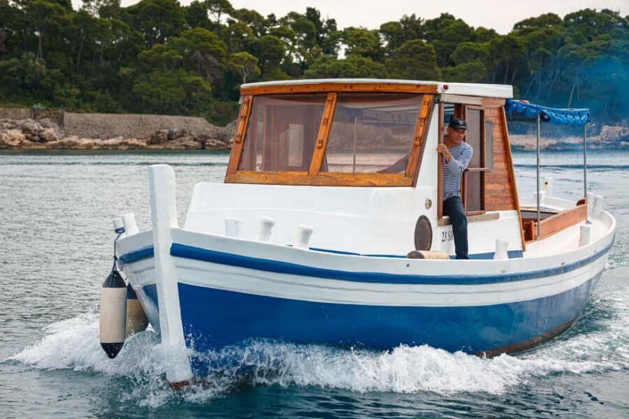 Dubrovnik: Full-Day Blue Cave & Elaphiti Islands Boat Tour - Koločep’s Donje Čelo: pine shade, walking options, and car-free charm
