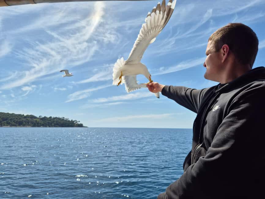 Dubrovnik: Island Boat Tour with Drinks & Lunch - Why the Elaphiti Islands feel like a second world from Dubrovnik