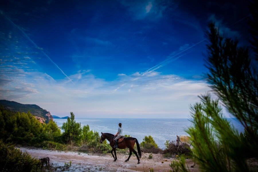 Dubrovnik Kojan Koral: Horseback Riding - Key moments that make this ride special