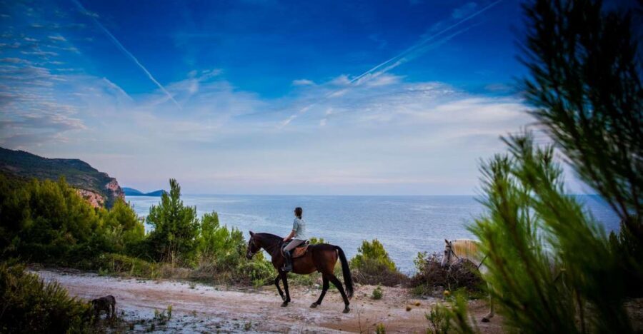Dubrovnik Kojan Koral: Horseback Riding - Why the Konavle Valley ride feels different than a typical Dubrovnik excursion