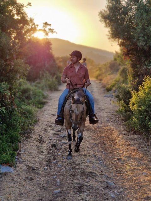 Dubrovnik Kojan Koral: Horseback Riding - Horses, safety gear, and learning the basics without stress