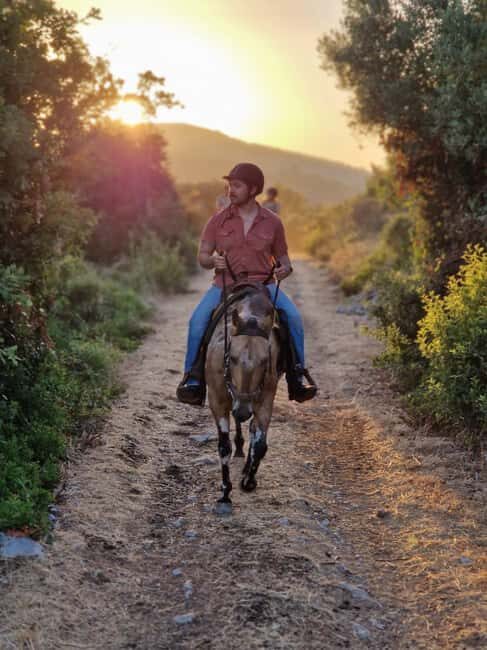 Dubrovnik Kojan Koral: Horseback Riding - Getting to the ranch: pickup timing that actually helps you plan