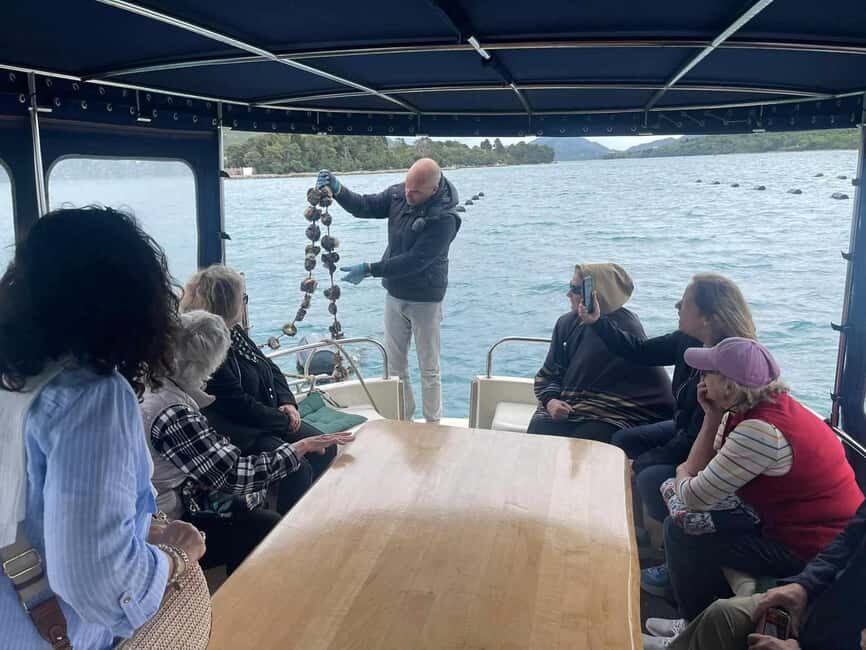 Dubrovnik: Oyster, Mussles, and Wine Tasting Tour in Ston - Ston’s walls, salt fields, and old-town wandering time