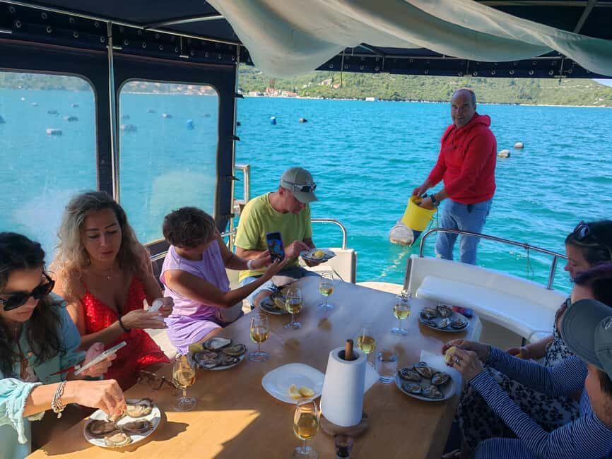 Dubrovnik: Oyster, Mussles, and Wine Tasting Tour in Ston - Timing and comfort: why this feels like a half-day, not a full-day grind