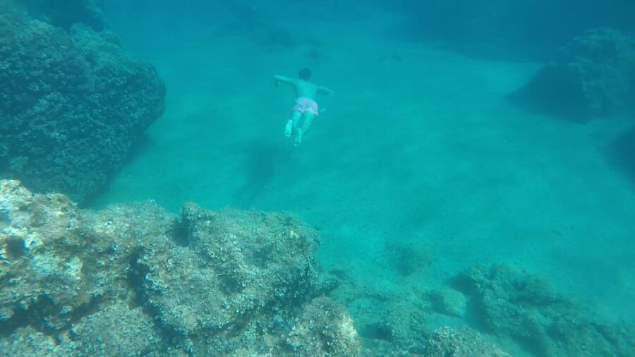 Dubrovnik:All inclusive Private Tour with Blue Cave Visit - Price value for up to 6: when $352 makes sense