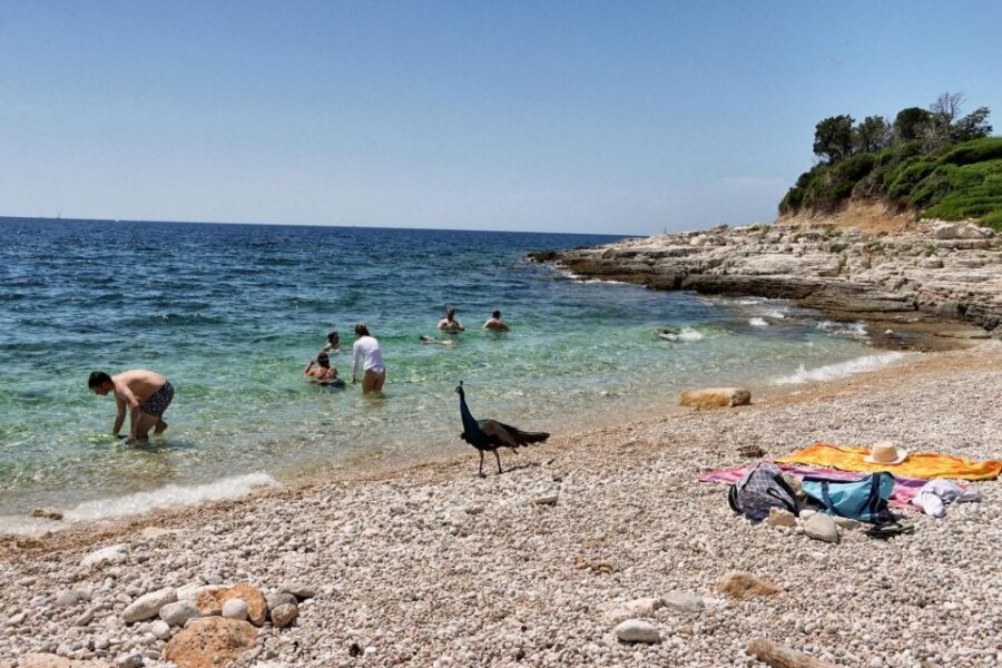 Fazana: Brijuni National Park Scenic Boat Tour & Swimming - Sveti Jerolim: Peacock island swimming and optional snorkel time