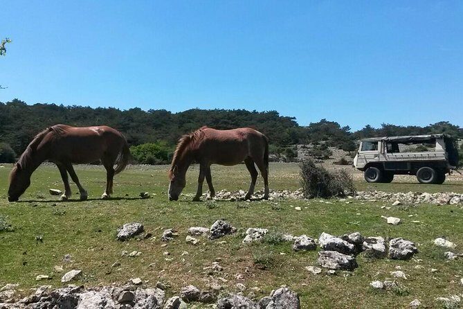 Feel and Taste island Brac with local experts - island adventure to remember - A 4WD Brač loop: what this jeep day really changes