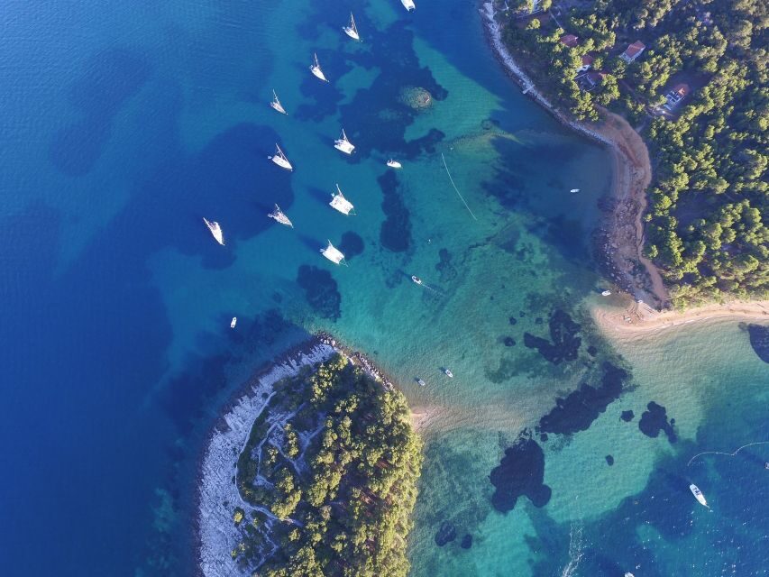From Biograd: Golden Island of Vrgada Trip with Lunch - Key things I’d pay attention to
