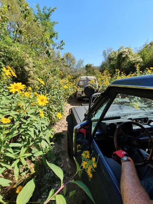 From Cavtat: Konavle Valley Off-Road Jeep Safari with Lunch - Who should book this Konavle jeep safari, and who should skip it