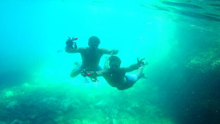 From Dubrovnik: 4-hour Elafiti Islands Private Boat Tour - Lopud and Šunj Beach: swimming plus an island pause
