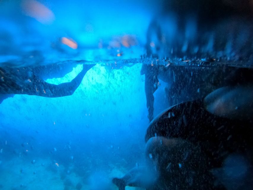 From Dubrovnik/Cavtat: Blue Cave, Sunj Beach Speed Boat Tour - Key highlights to know before you go