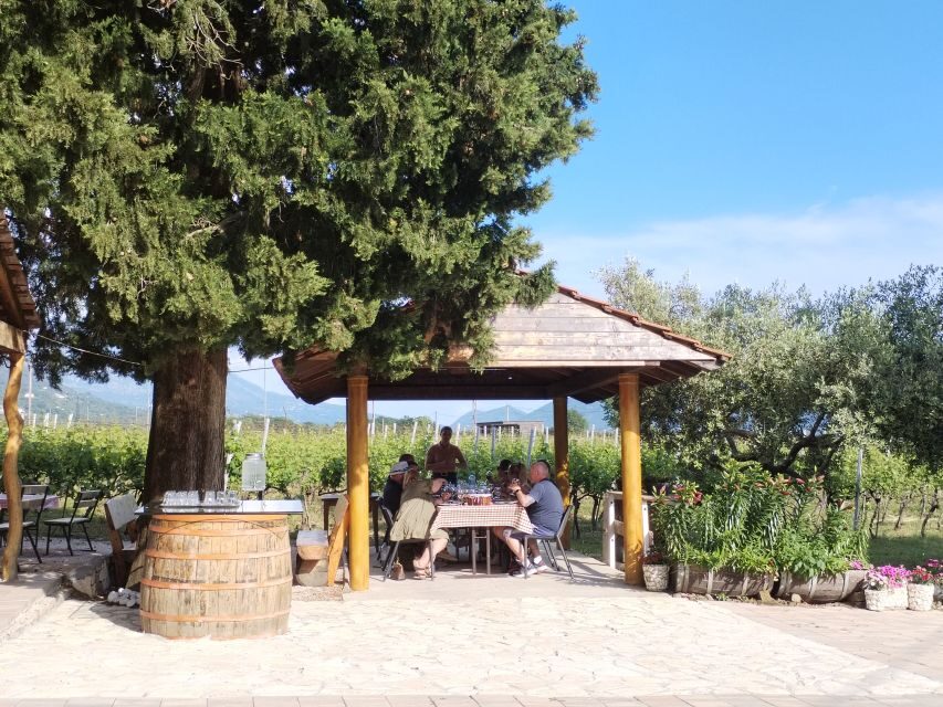 From Dubrovnik: Half-Day Wine Tasting and Cavtat City Tour - Should You Book This Dubrovnik Wine Tasting and Cavtat Tour?