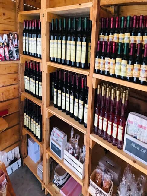 From Dubrovnik: Half-Day Wine Tasting and Cavtat City Tour - Inside the Family Winery: Liquors First, Then Four Wines with Homemade Pairings