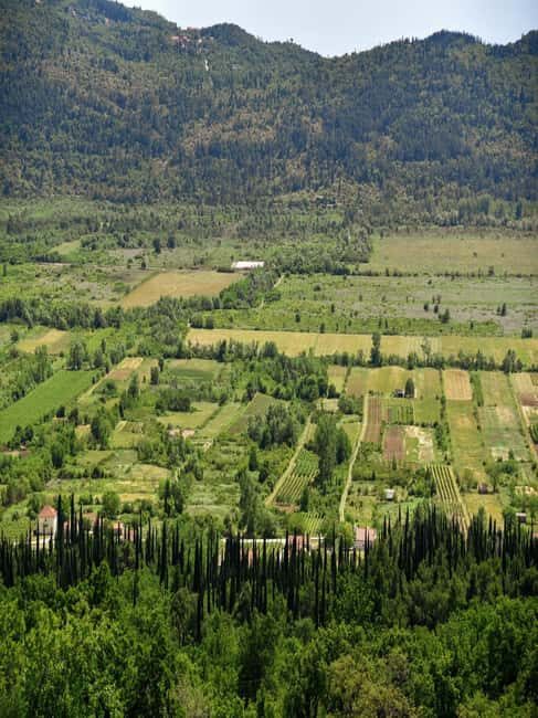 From Dubrovnik: Half-Day Wine Tasting and Cavtat City Tour - Konavle Valley Views and the Real Meaning of a “Small Place”