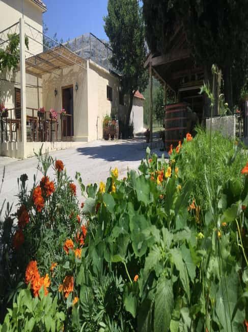 From Dubrovnik: Half-Day Wine Tasting and Cavtat City Tour - Dubrovnik Pickup and the Drive Into Konavle Valley