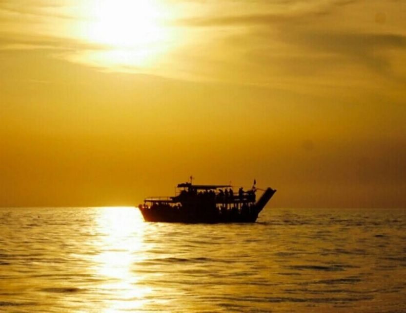 From Poreč: Evening Dolphin Cruise with Welcome Drink - What this is really like on the water