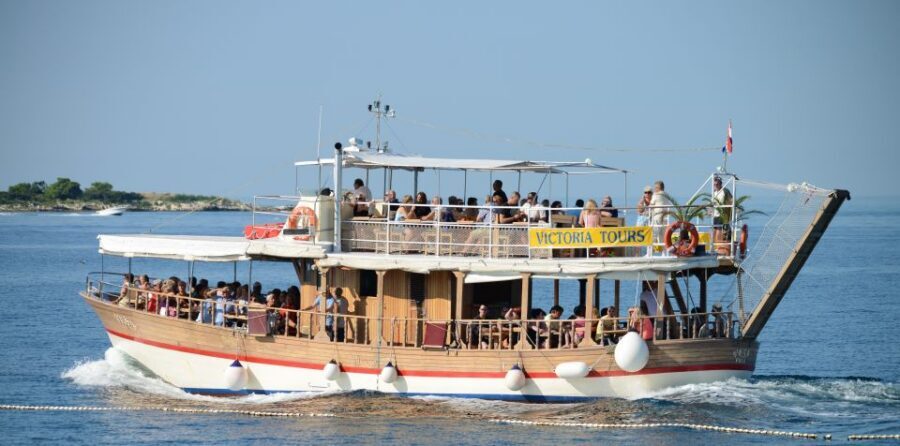 From Poreč: Evening Dolphin Cruise with Welcome Drink - What if you don’t see dolphins?