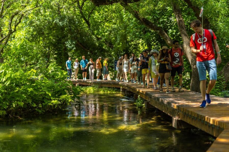 From Split: Krka National Park Tour - Price and value: $31 plus entry, but you’re buying organization