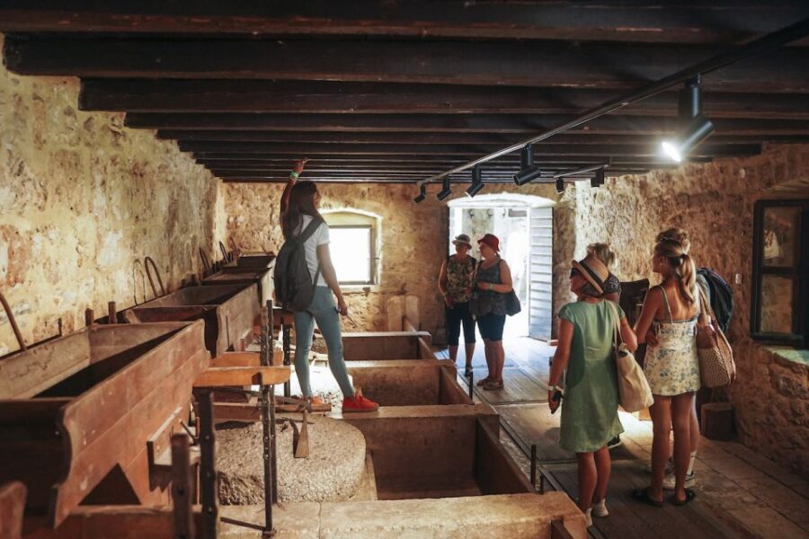 From Split: Krka Waterfalls, Food & Wine Tasting Tour - Skradin: fortress views, bars, and where you can swim