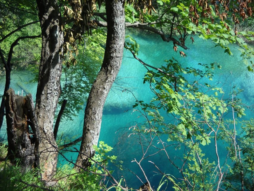 From Split: Plitvice Lakes Full-Day Trip - Navigating boardwalks and wet stone with confidence