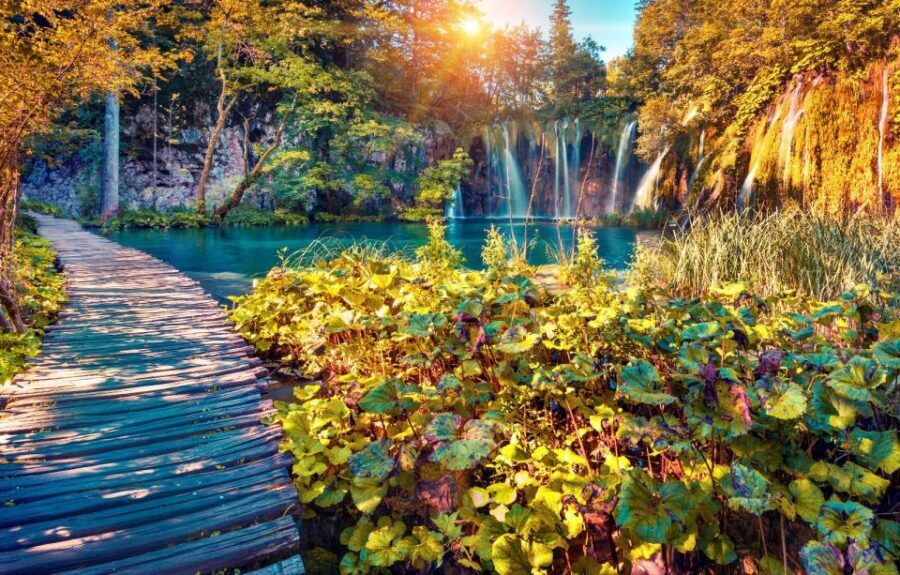 From Split: Plitvice Lakes Full-Day Trip - Price and value: $57 plus national park entry, paid in cash