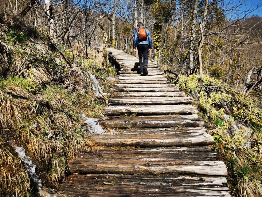 From Split: Plitvice Lakes Full-Day Trip - Should you book this day trip?