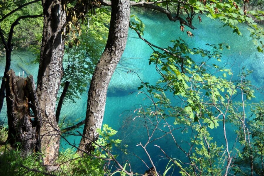 From Split: Plitvice Lakes Fully-Guided Day Tour - Getting Started: Split Riva Meeting Point and the Ride Out