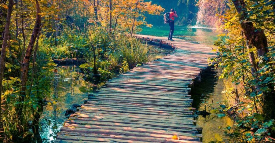 From Split: Plitvice Lakes Guided Tour with Entry Tickets - The Upper-to-Lower Trail: Waterfalls, Springs, and Photo-Ready Walkways