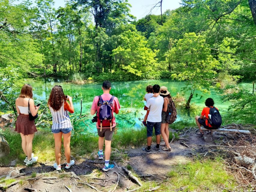 From Split/Trogir/Omiš: Plitvice Lakes Guided Group Tour - Should You Book the Split/Trogir/Omiš to Plitvice Guided Group Tour?