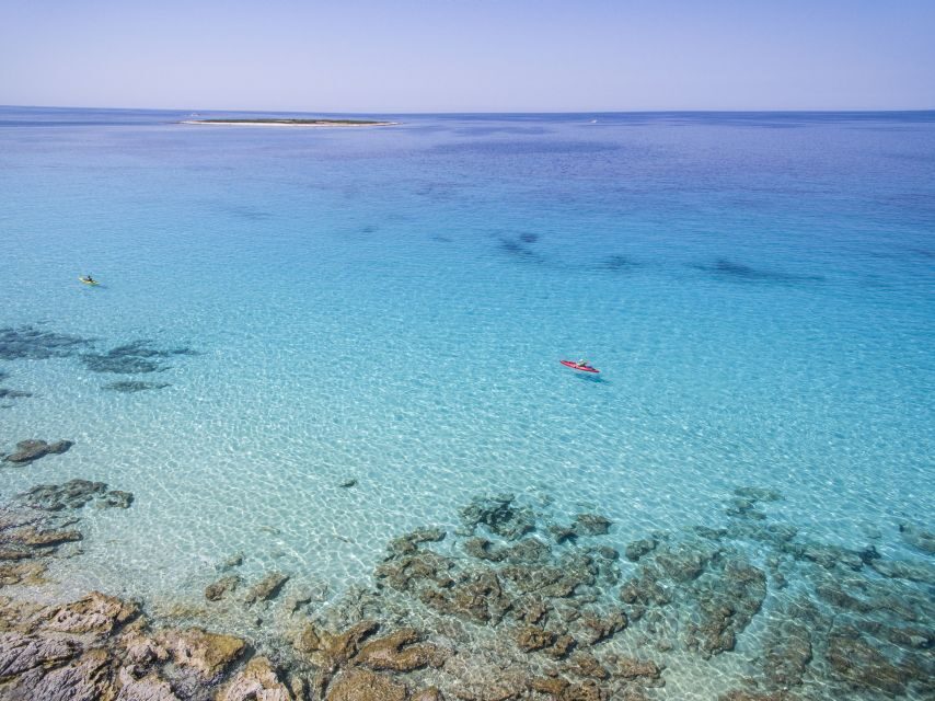 From Zadar: Dugi Otok Half-Day Kayak Adventure - Veli Žal beach time: white sand, swim choices, and your first paddle