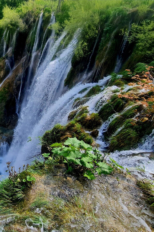 From Zadar: Plitvice Lakes Day Trip with Guide and Boat Tour - Reserved tickets and the cash entrance fee on the day