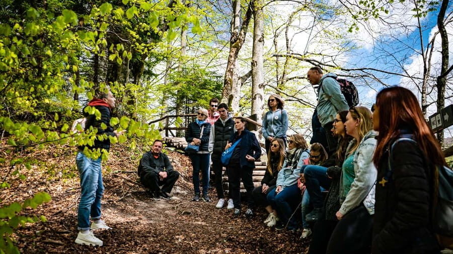 From Zagreb: Plitvice Lakes National Park Full-Day Tour - What You Pay (and What You Still Need to Budget)