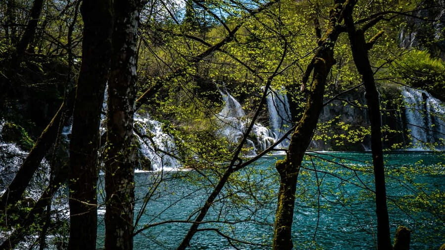 From Zagreb: Plitvice Lakes National Park Full-Day Tour - The Park Entry Day Plan: Café Stop, Guided Time, Then Head Back