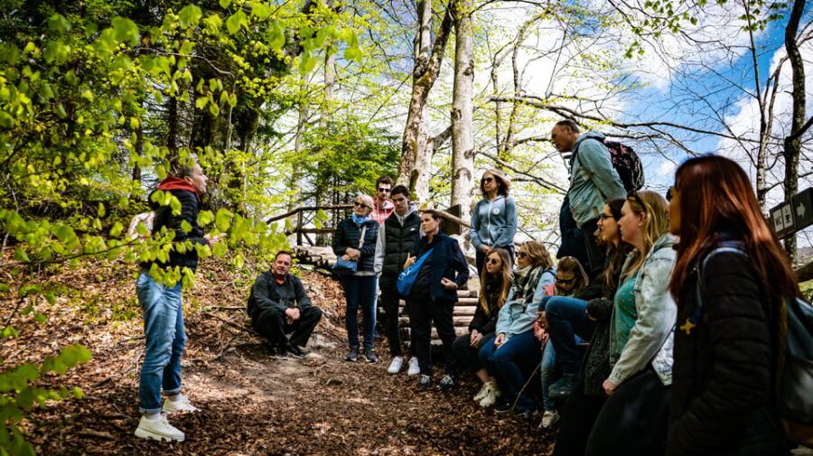 From Zagreb: Plitvice Lakes National Park Full-Day Tour - Boat Ride and Panoramic Train: Two Ways to See the Waterfalls