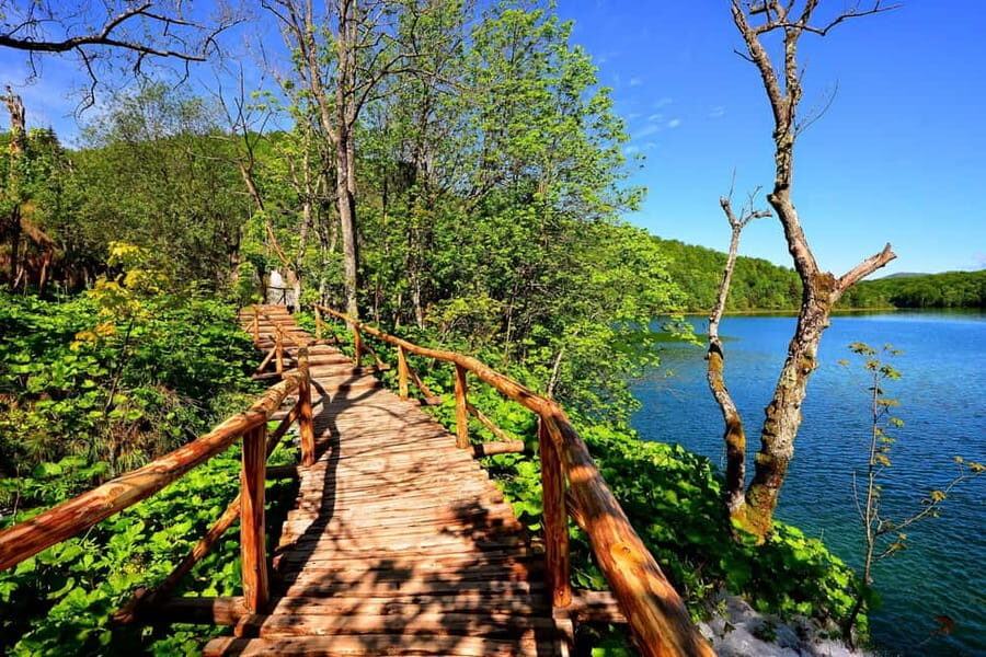 From Zagreb: Rastoke and Plitvice lakes Guided Day Trip - What the guide adds (and why it matters at Plitvice)