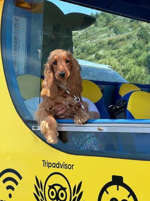 Hop-On Hop-Off Yellow Cabrio Tour: See Dubrovnik in 90mins - Srđ: Guided Views and Photo Time That Pay Off