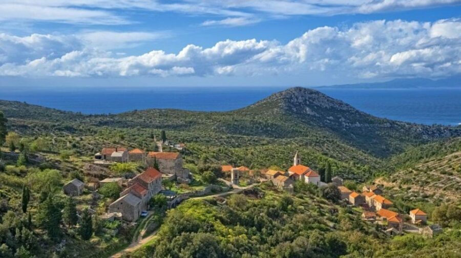 Hvar: Island tour with Wine and Olive Oil Tasting - Old Road Villages and Lavender Fields Photo Stops on the Way Inland