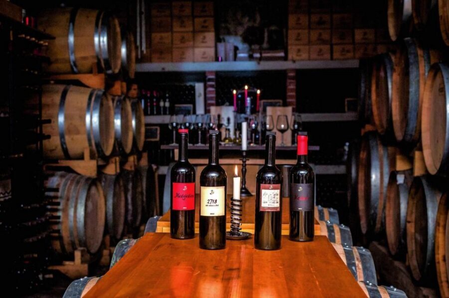 Hvar: Island tour with Wine and Olive Oil Tasting - What You’ll Taste: Medvid Wines, Darnekuša, and Aromatized Olive Oils