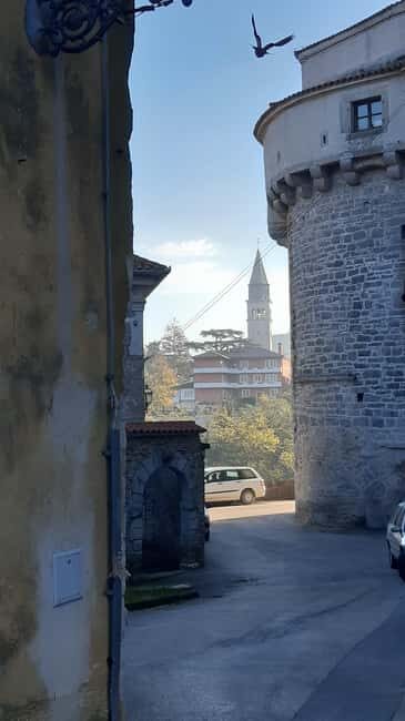 Istria: Guided Tour of Inner Istria with Food Tasting - Motovun’s City Walls and Truffle-Product Tasting