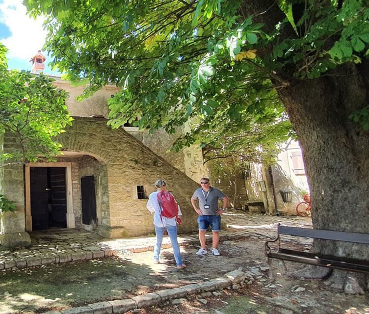 Istria: Guided Tour of Inner Istria with Food Tasting - Pazin Abyss: Gargantuan Cliffs in a Protected Area