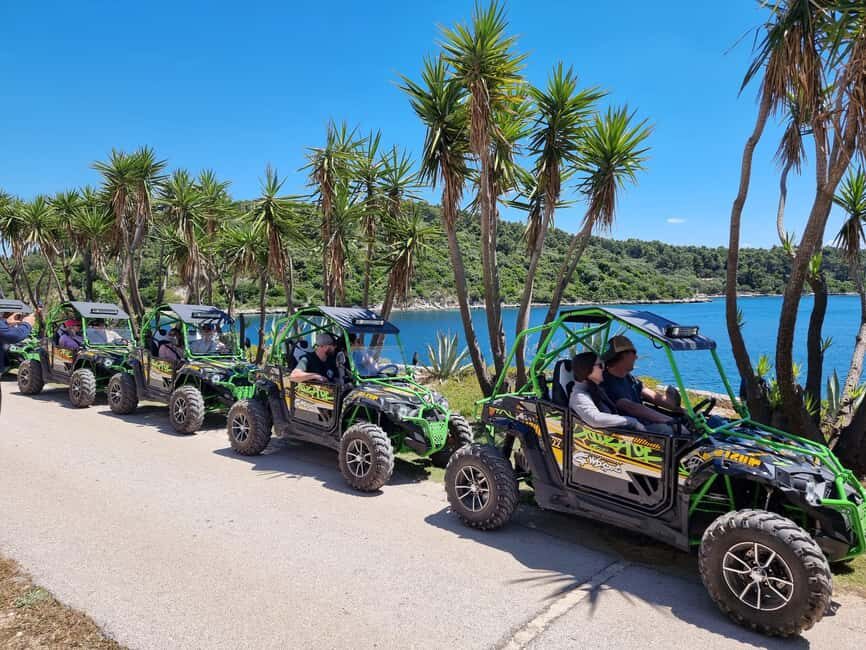 Korcula: Buggy Safari with Local Food and Wine Tasting - Your 4-hour rhythm: training, viewpoints, and 35–40 km of exploring